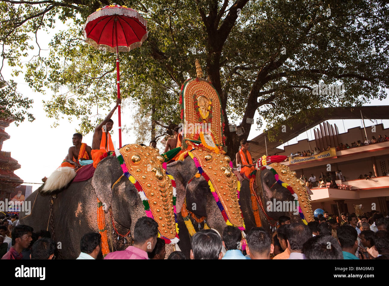India, Kerala, Koorkancherry Sree Maheswara Temple, Thaipooya Mahotsavam festival, three caparisoned temple elephants Stock Photo