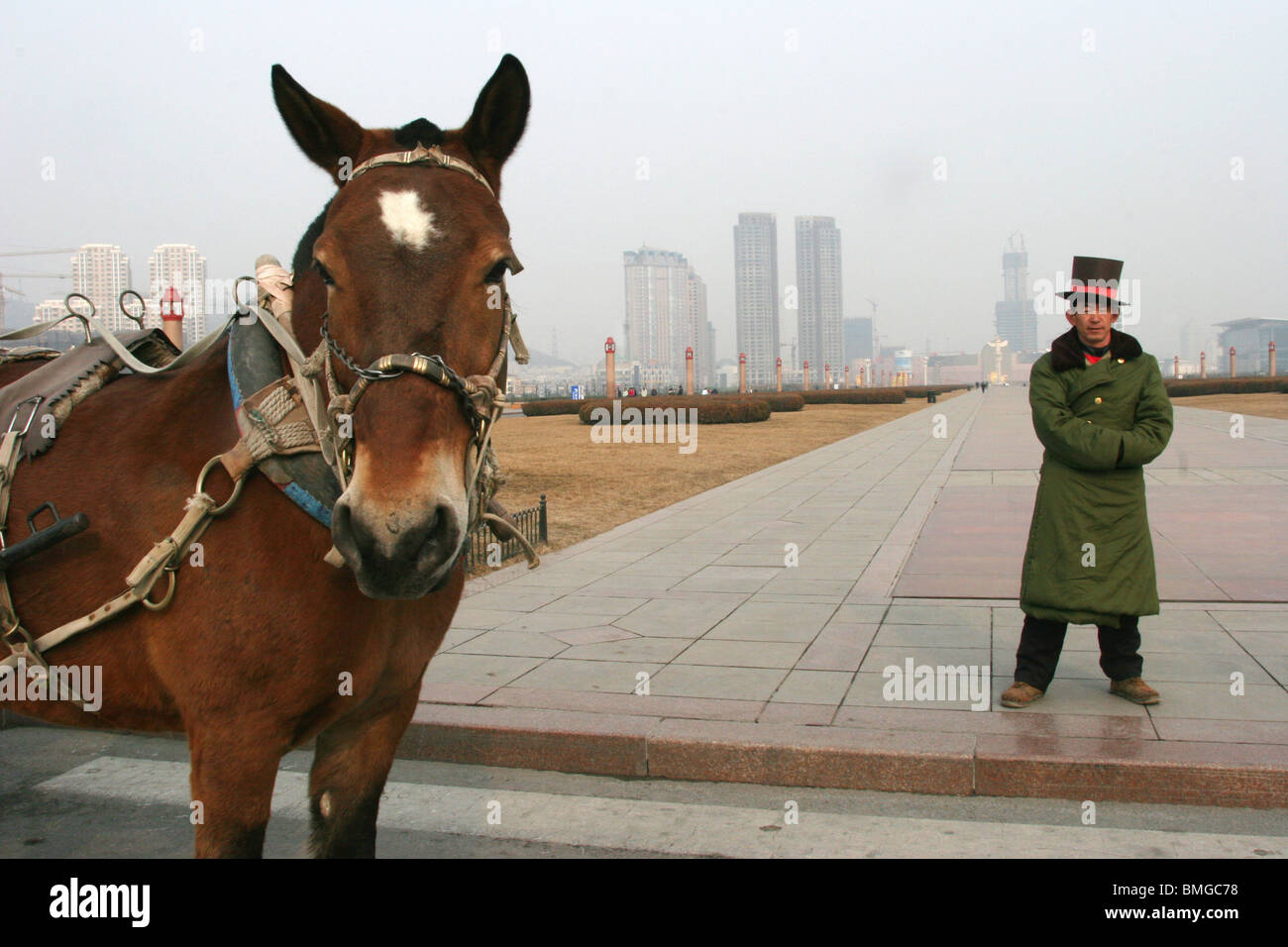 Horse carriage china hi-res stock photography and images - Alamy