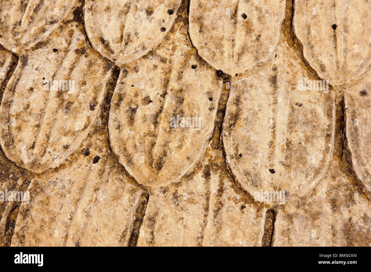 Turkey Antalya - Side, masonry with leaf pattern from a late order column capital Stock Photo