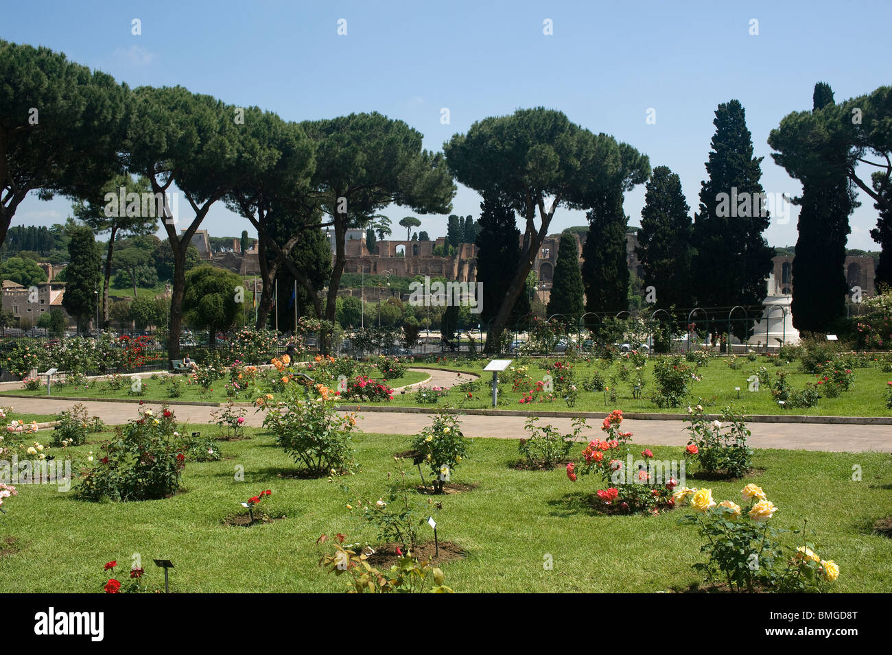 Municipal Rose Garden, Rome, Italy Stock Photo