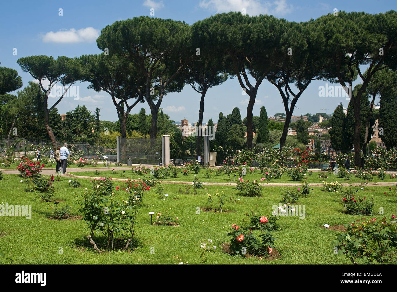 Municipal Rose Garden, Rome, Italy Stock Photo