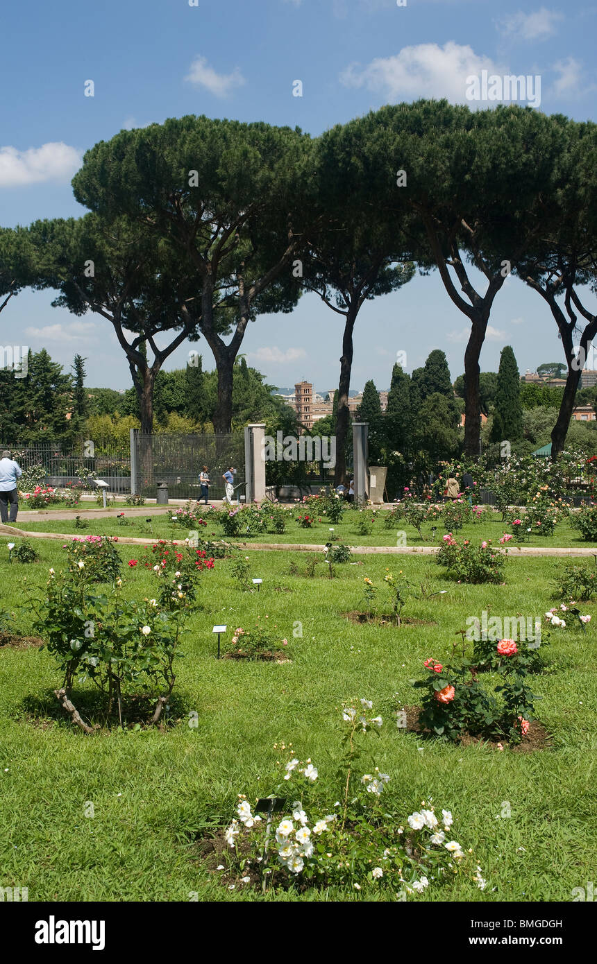 Municipal Rose Garden, Rome, Italy Stock Photo - Alamy