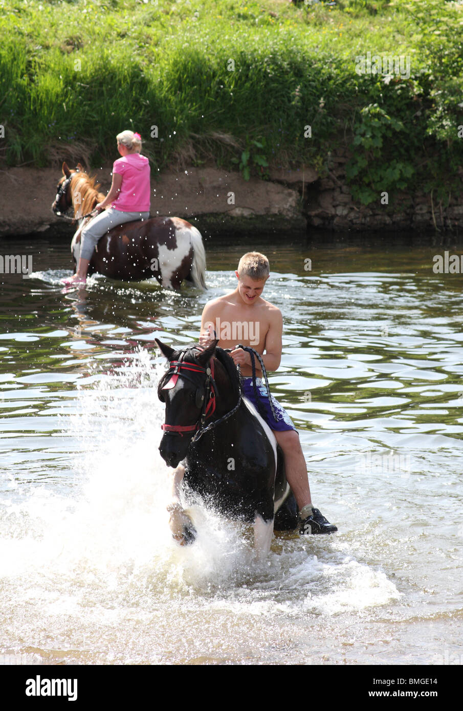 Travellers swimming horses at the Appleby Horse Fair, Appleby-In-Westmorland, Cumbria, England, U.K. Stock Photo