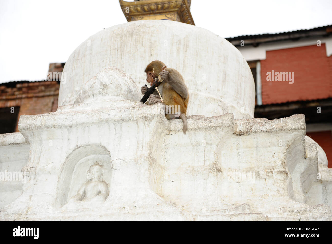 monkey sitting on top of butterlamp pavilion , swayambhunath buddhist ...