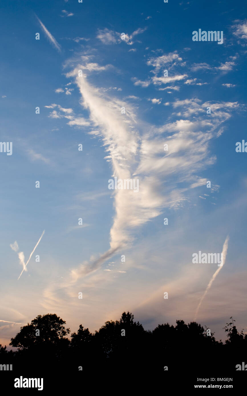 Interesting cloud formation on a summers evening over silhouetted trees Stock Photo