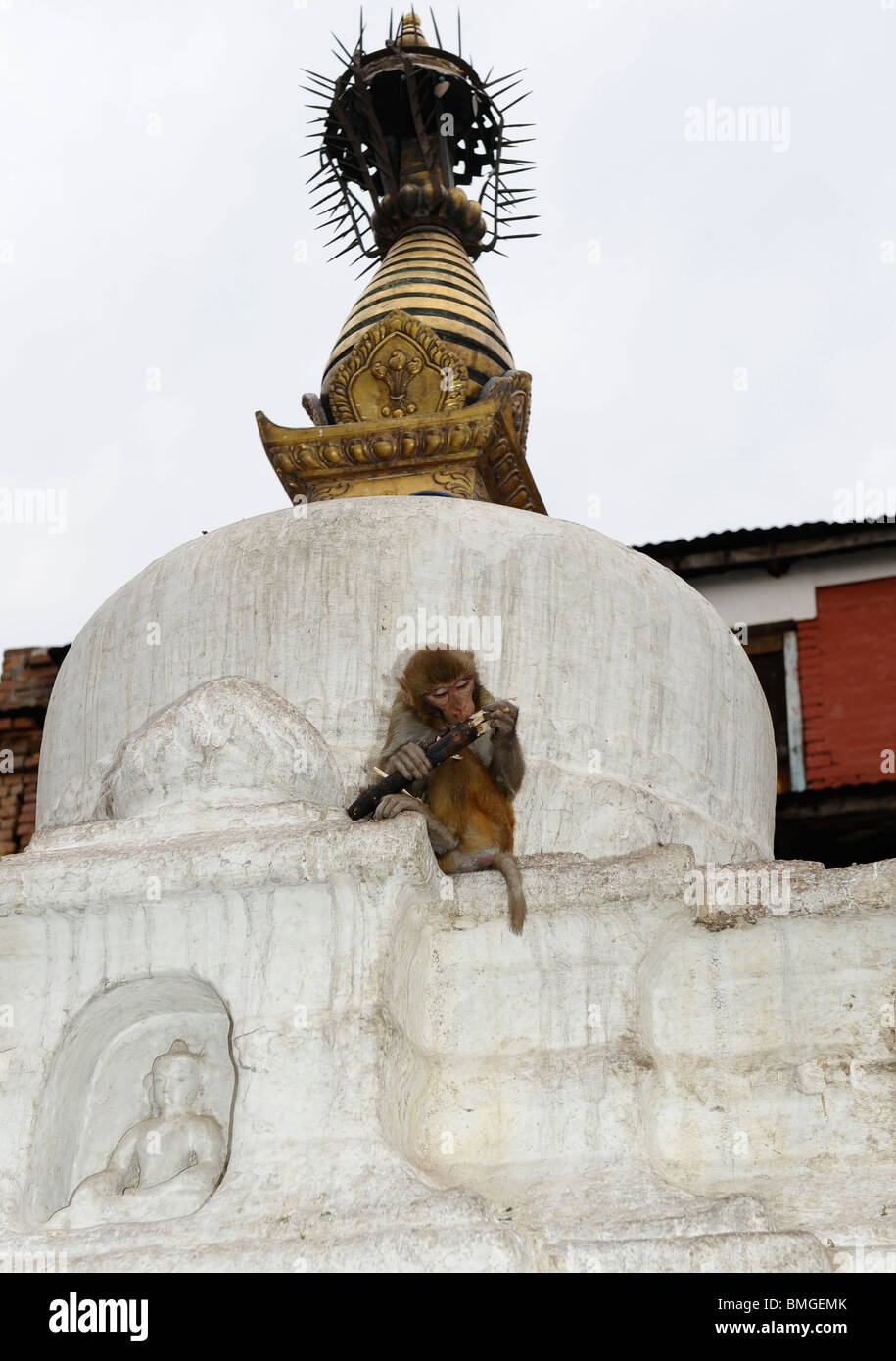 monkey sitting on top of butterlamp pavilion , swayambhunath buddhist ...