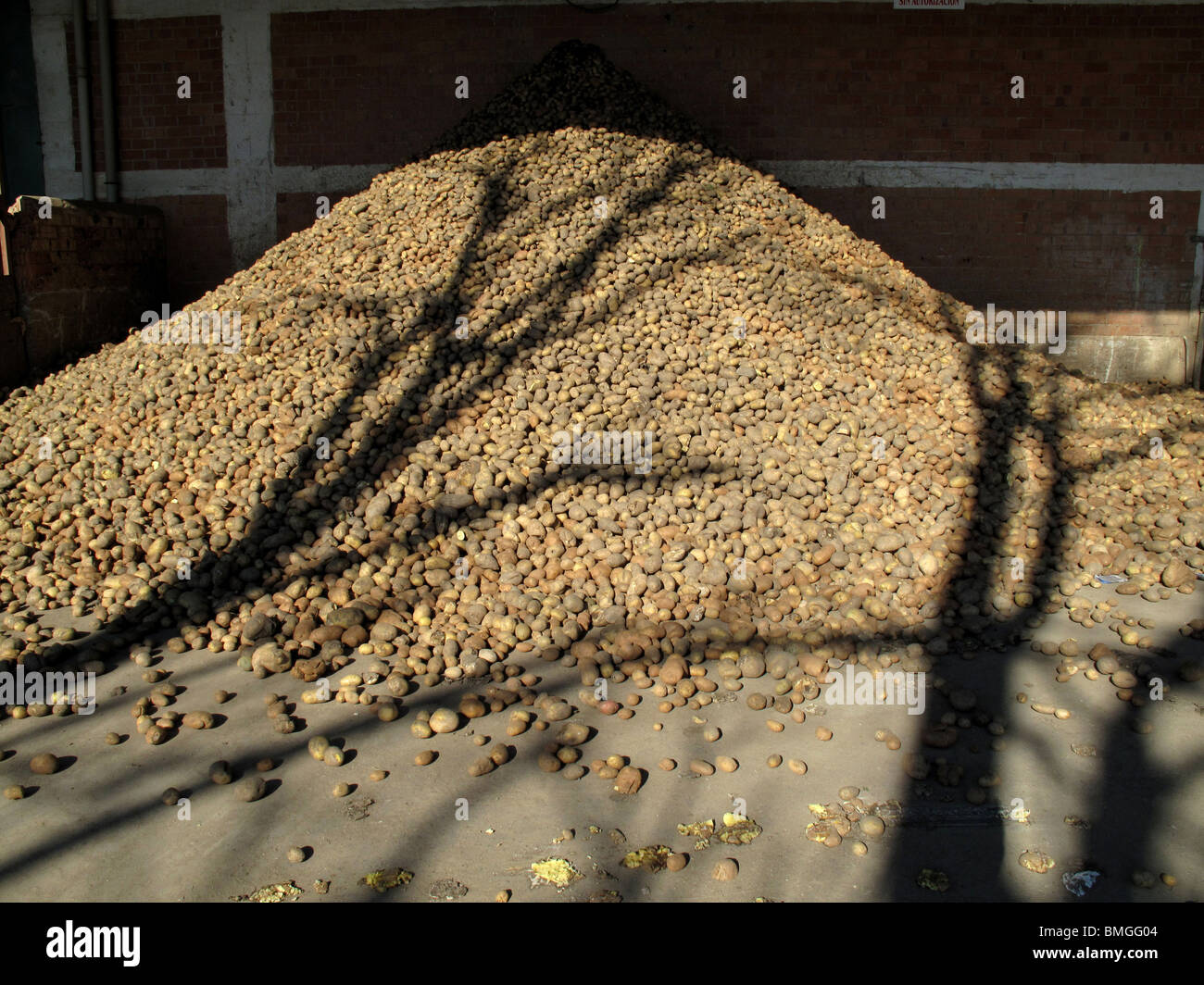 Potatoes in Santo Domingo de la Calzada. La Rioja. Spain. WAY OF ST JAMES. Stock Photo