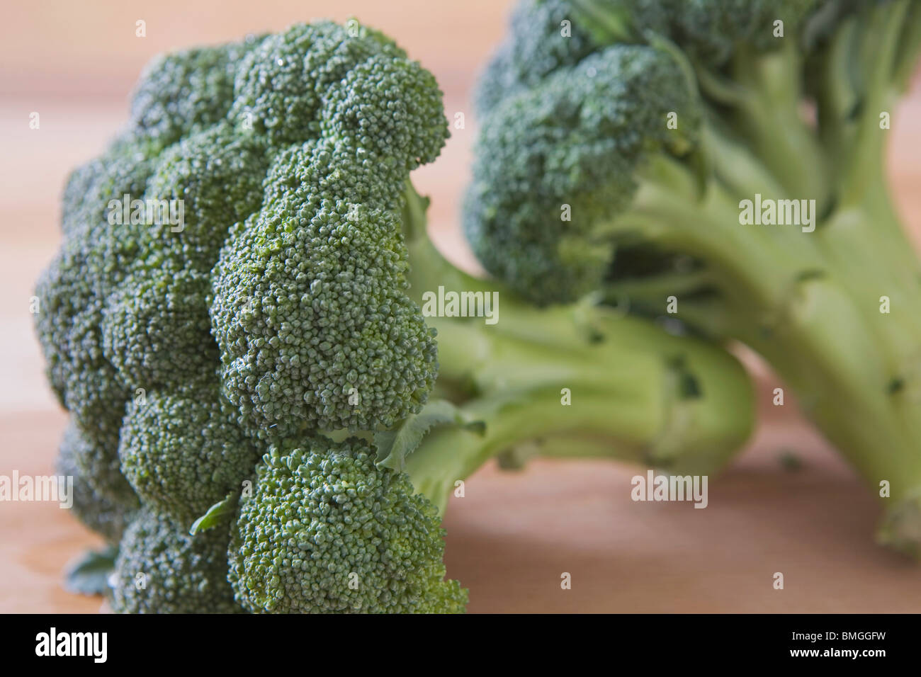 Two Broccoli Heads And Stems Stock Photo Alamy