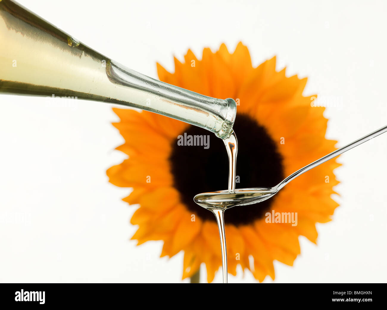 Light cooking oil from sunflower seeds with flower Stock Photo Alamy