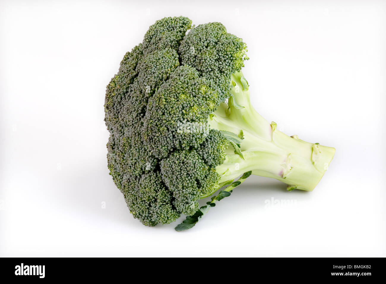 broccoli Stock Photo
