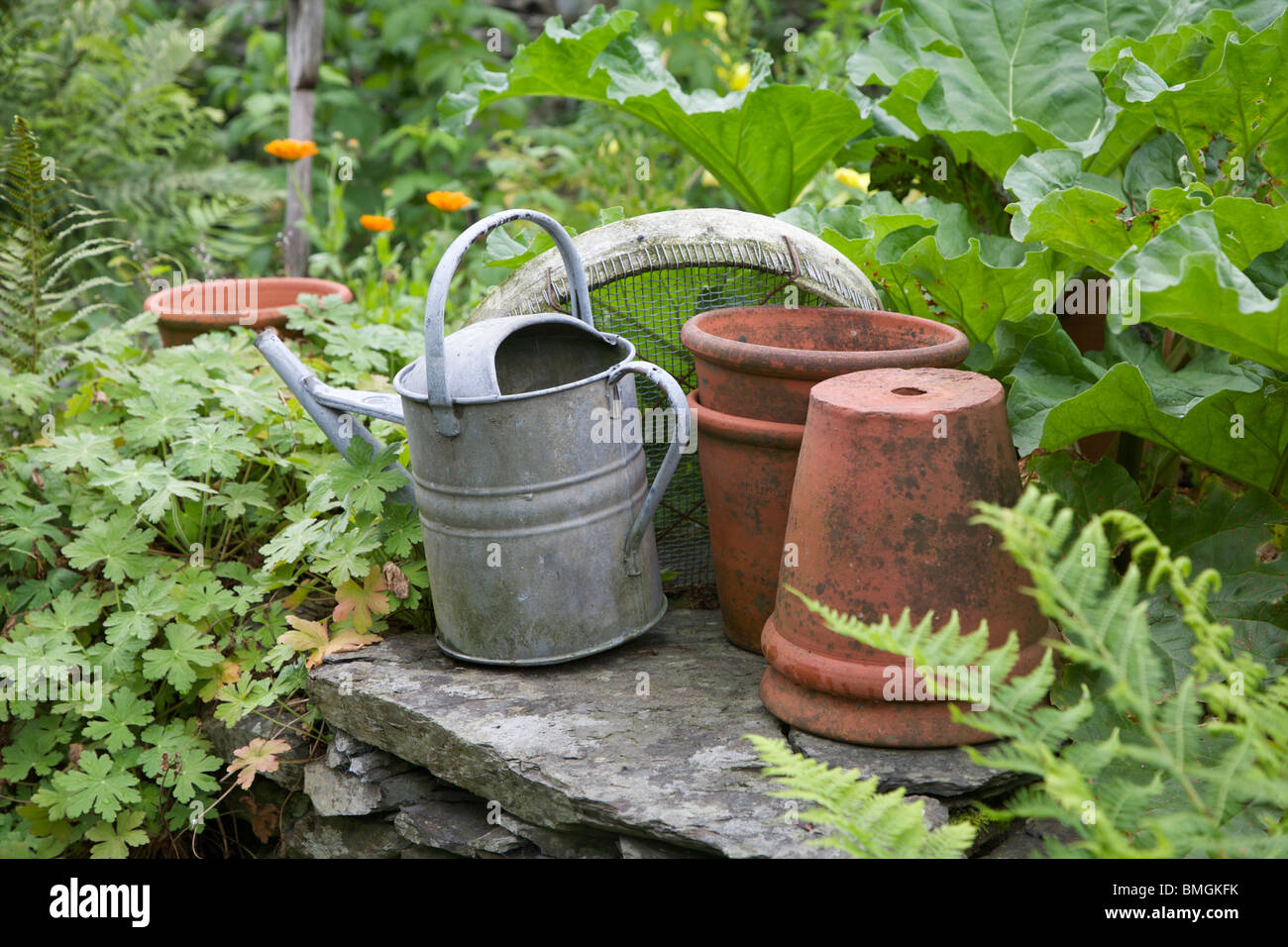 Watering can and flower pots in a garden Stock Photo Alamy