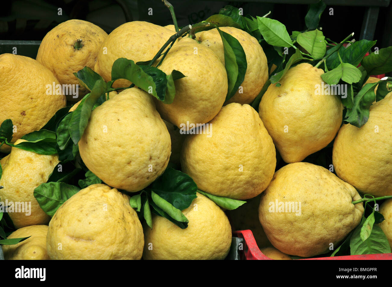 Lemons, on sale in the square at Amalfi, Italy Stock Photo