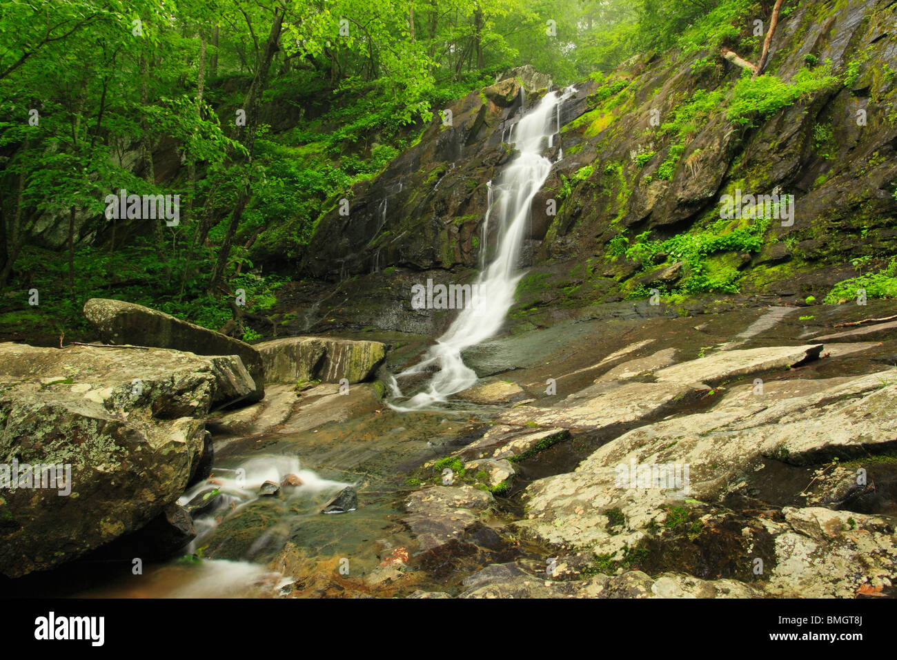 Jones Run Waterfall, Shenandoah National Park, Virginia Stock Photo - Alamy