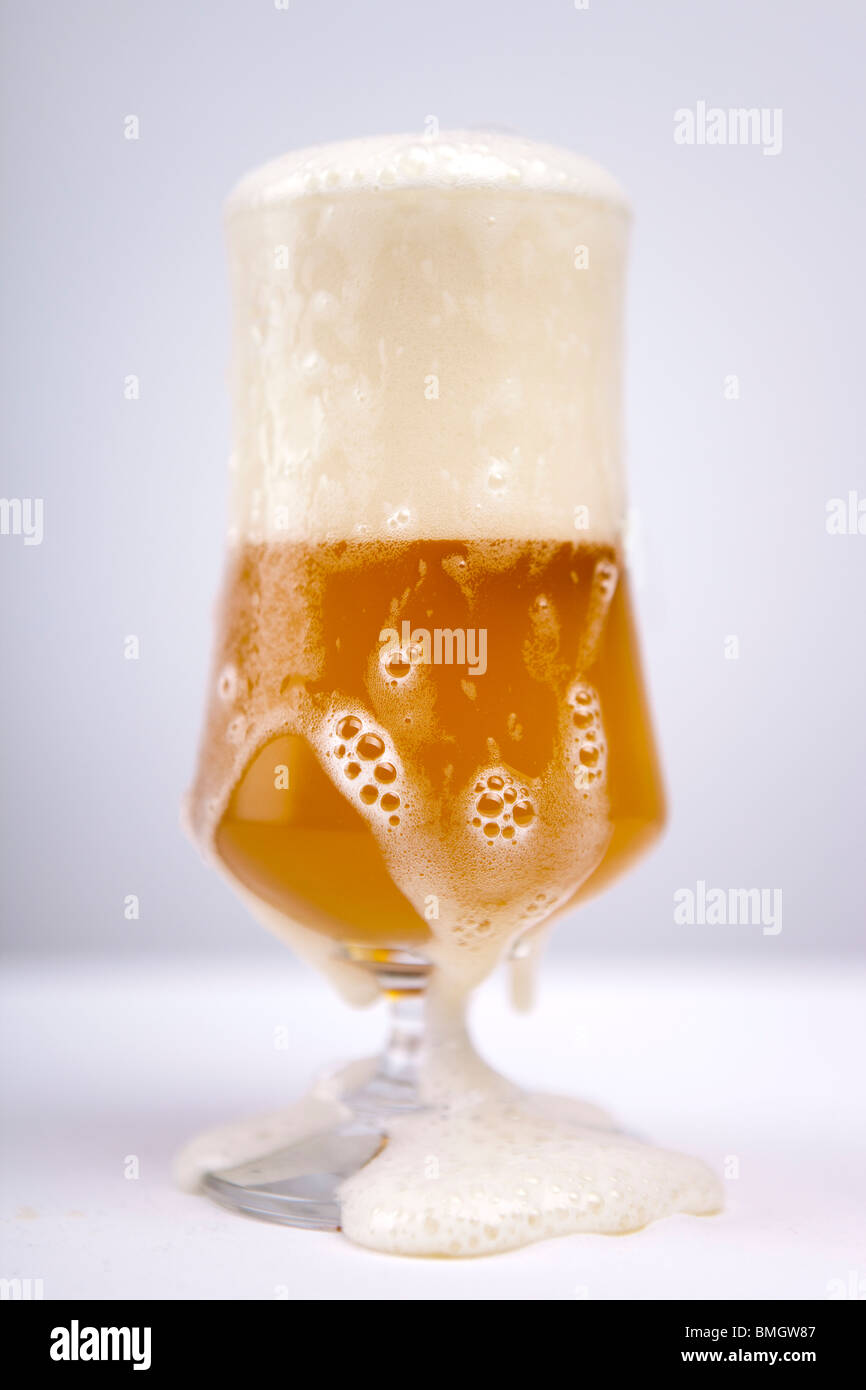 Beer in a beer glass Stock Photo
