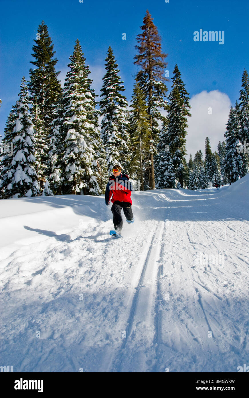 snowshoes, running, racing, sport, Winter scene, North Lake Tahoe, California, USA Stock Photo