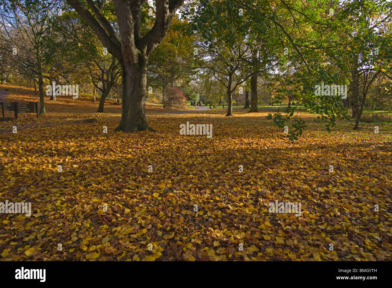 Autumn colours, Edinburgh Royal, Botanic gardens, Lothians, Scotland, October, 2009 Stock Photo