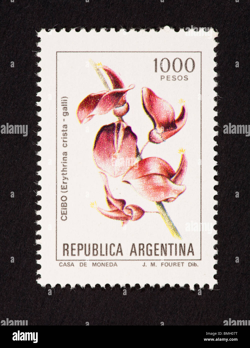 Postage stamp from Argentina depicting a flower (Erythrina cristagalli) Stock Photo