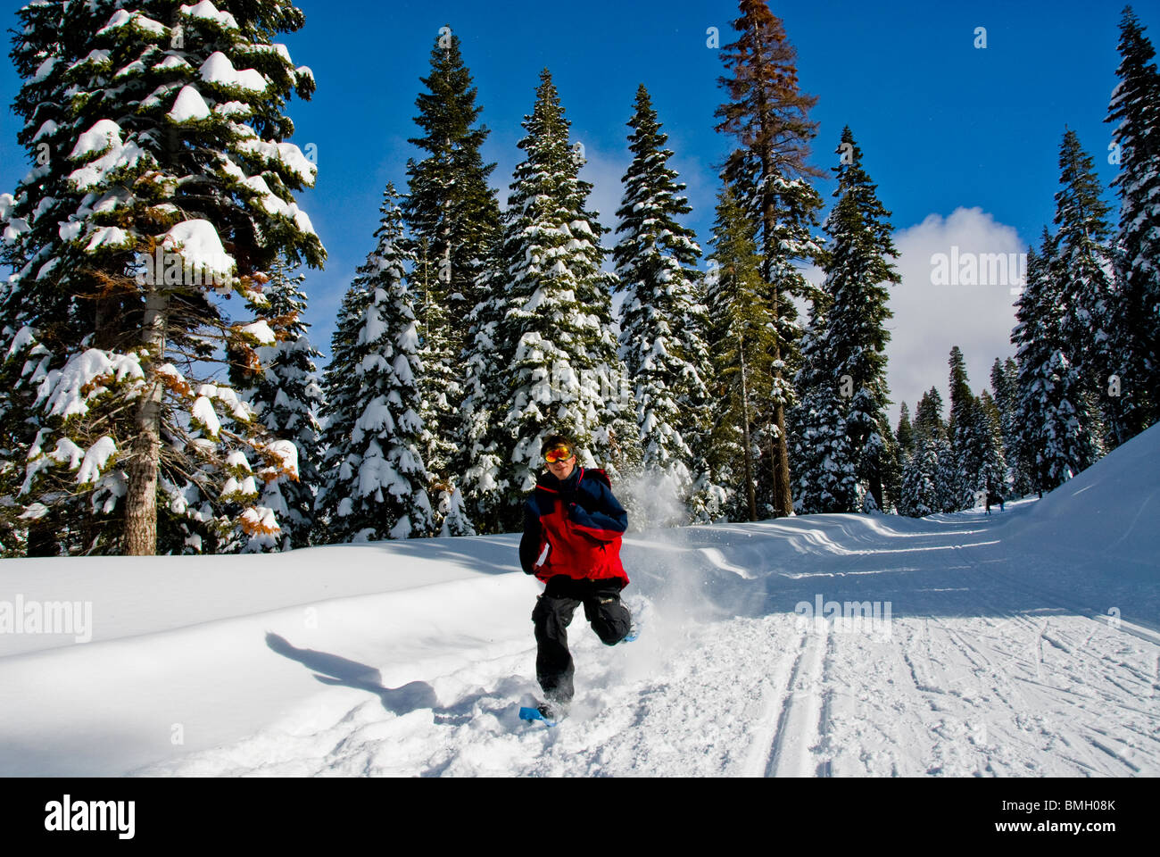 snowshoes, running, racing, sport, Winter scene, North Lake Tahoe, California, USA Stock Photo