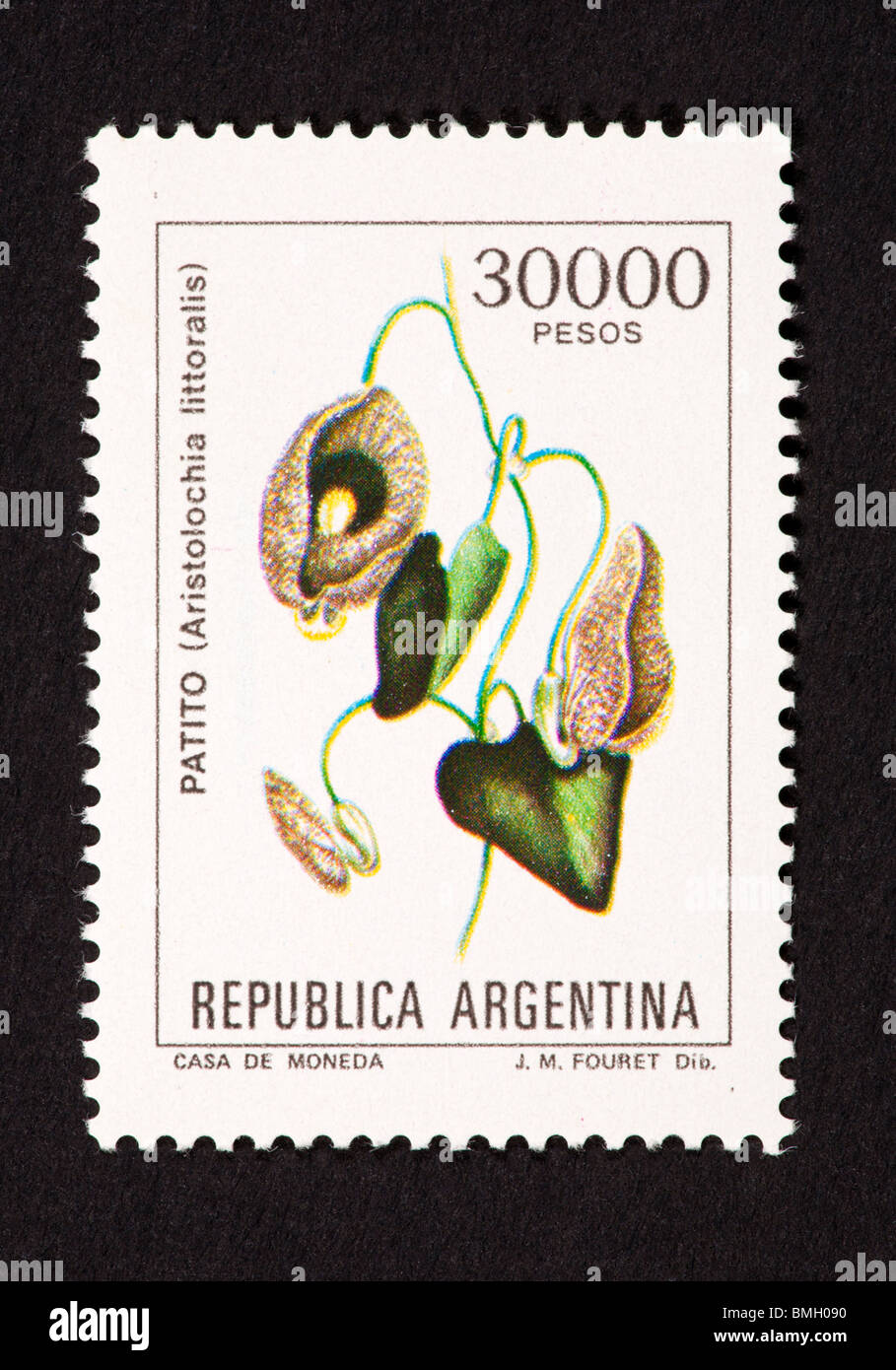 Postage stamp from Argentina depicting a flower (Aristolochia littoralis). Stock Photo
