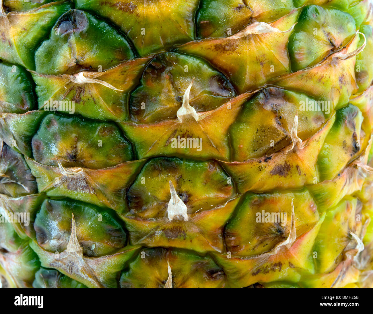 Pineapple Skin Stock Photos & Pineapple Skin Stock Images Alamy