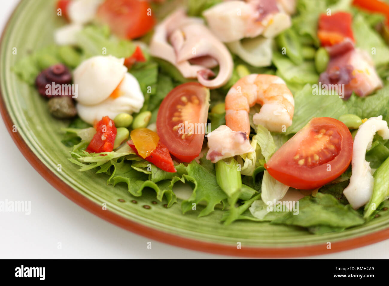 Fresh Healthy Mediterranean Style Mixed Seafood Salad With No People