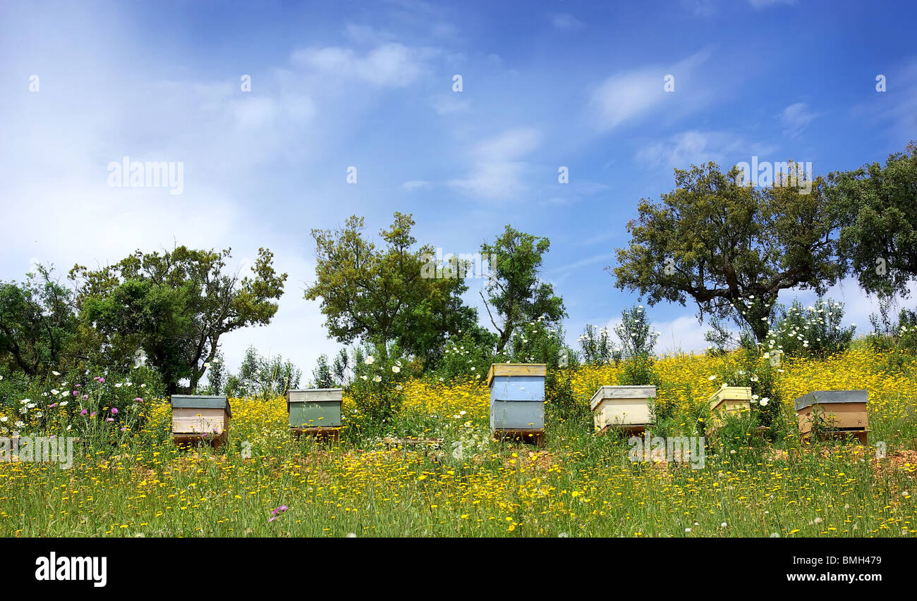 Bee houses at Portugal. Stock Photo