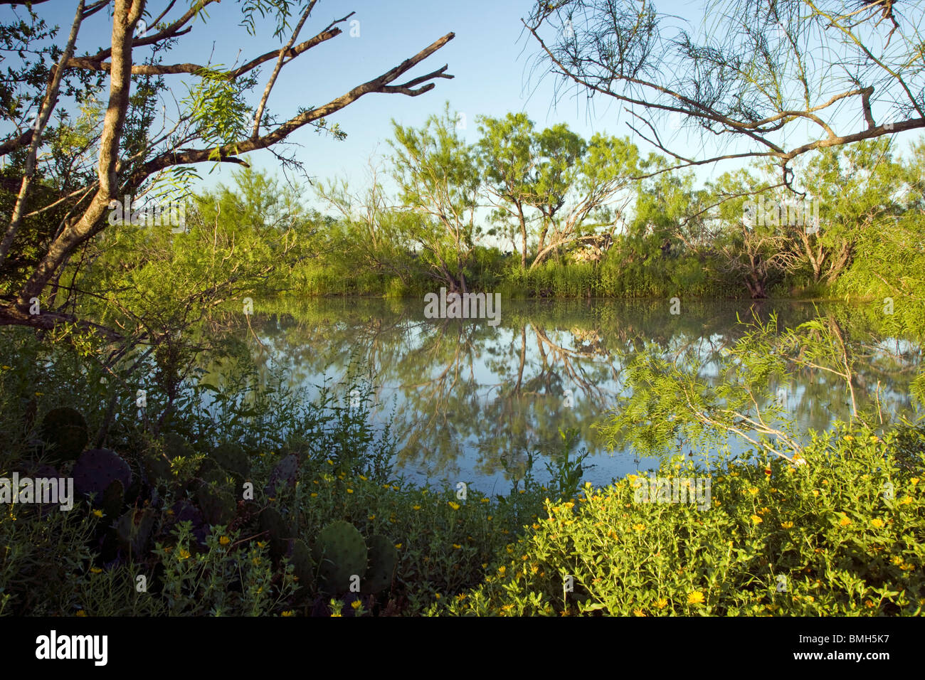 Lake at Los Novios Ranch - near Cotulla, Texas USA Stock Photo