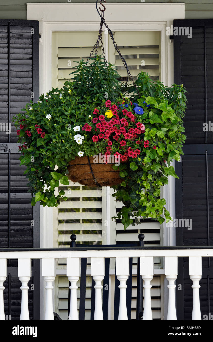 Hanging Basket of Flowers on Porch of Home in Charleston, South Carolina Stock Photo