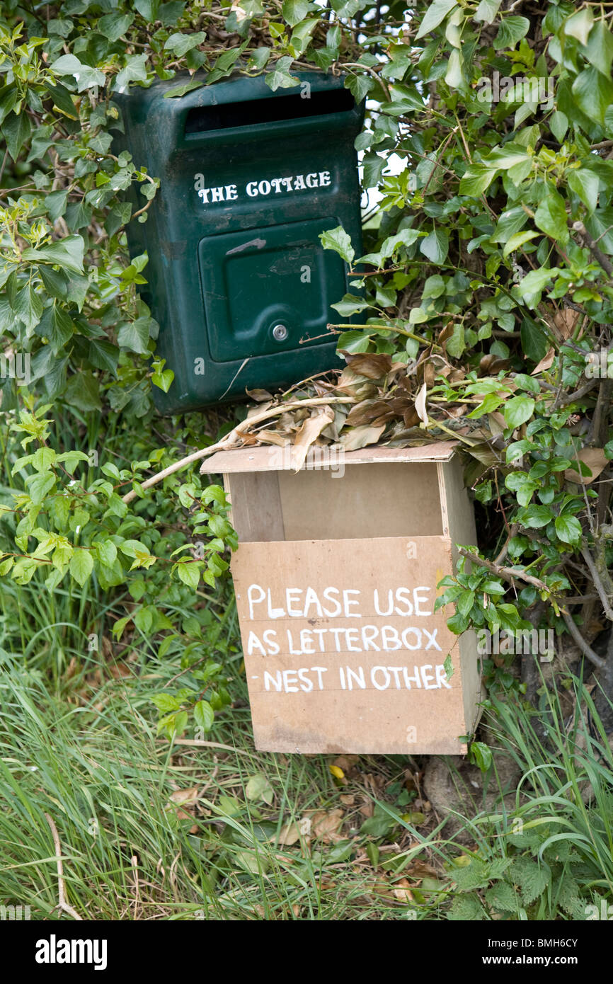 Letter bird nest hires stock photography and images Alamy