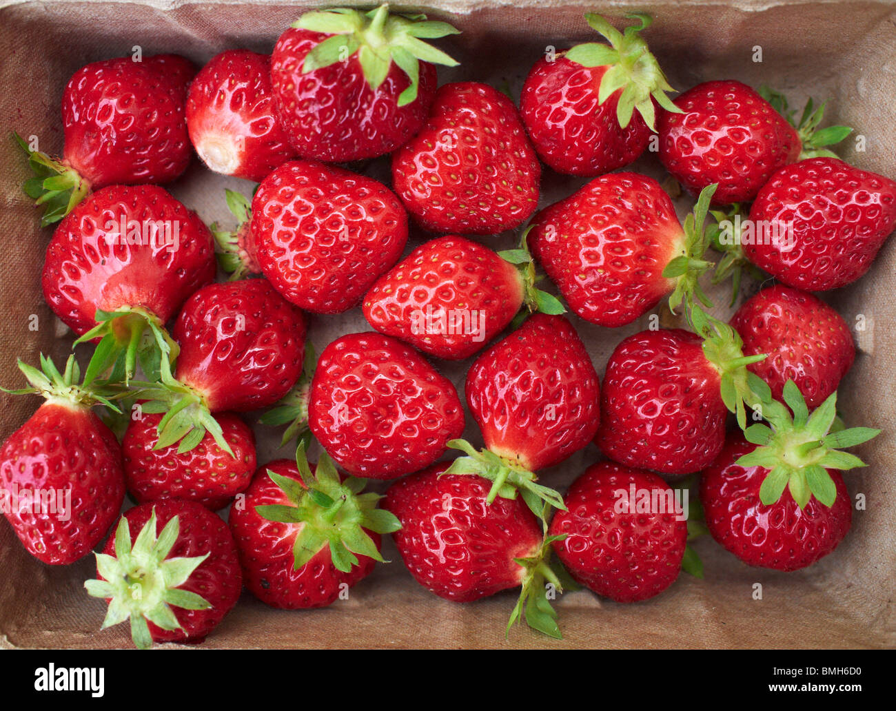 Punnett of Strawberries, UK Stock Photo