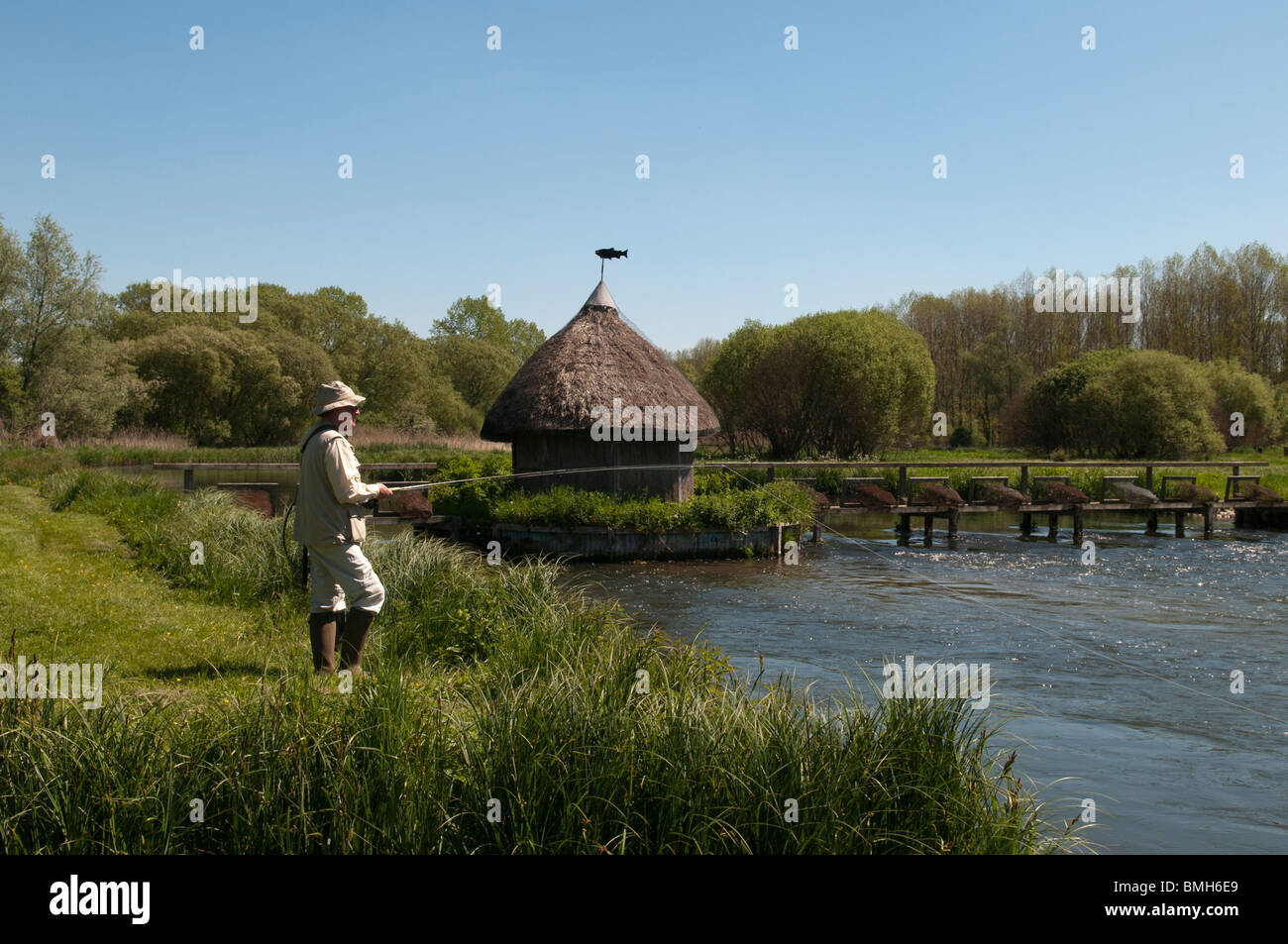 Fly fishing on the River Test, Hampshire, England Stock Photo Alamy