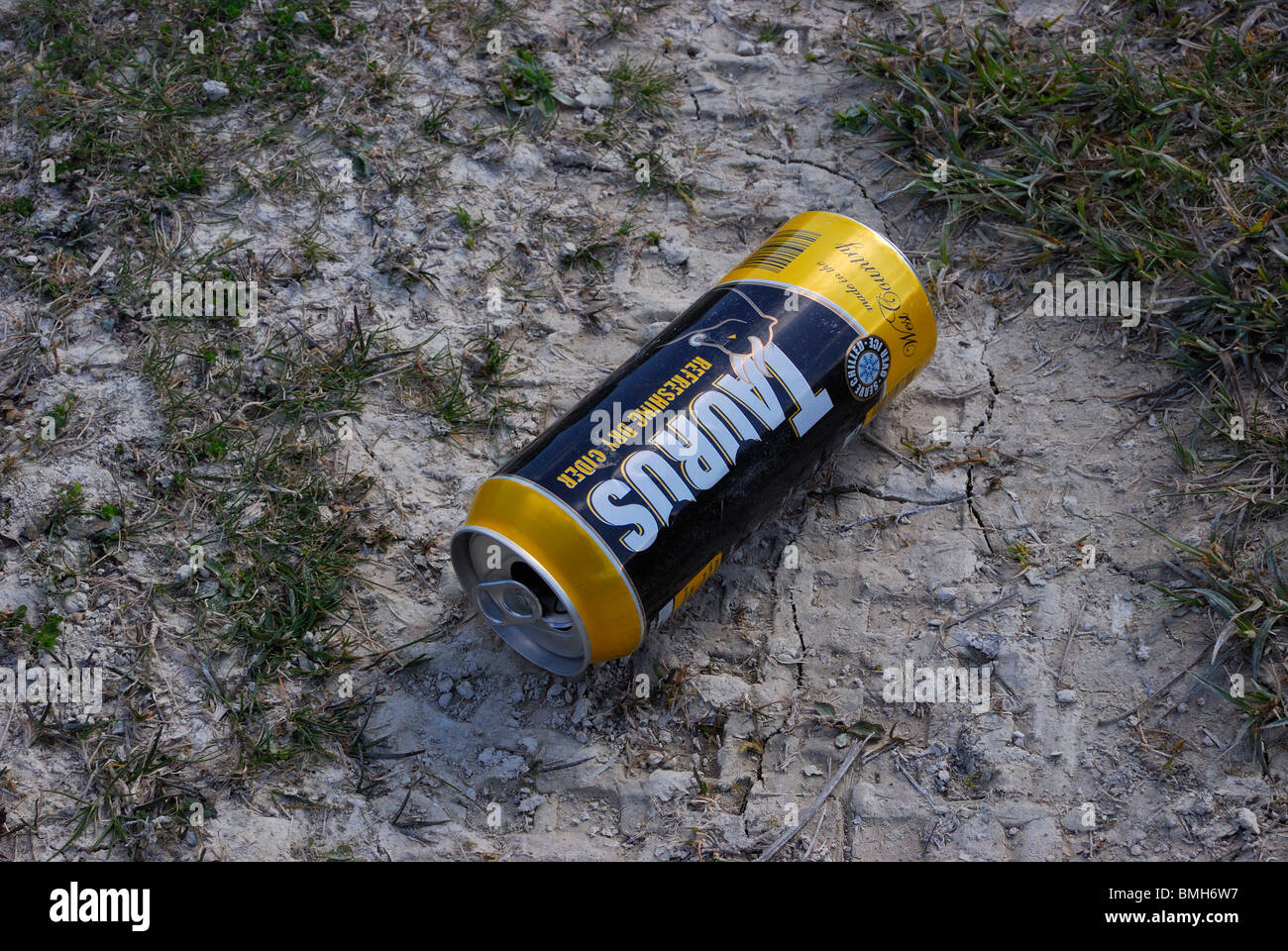 Empty can of Lager Beer discarded in wilderness Stock Photo