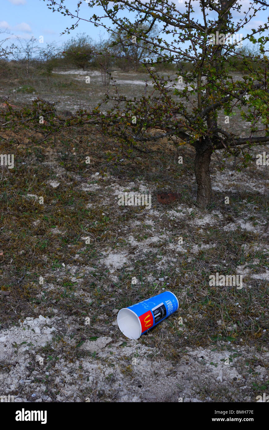 McDonald's drinks cup left discarded in wilderness Stock Photo