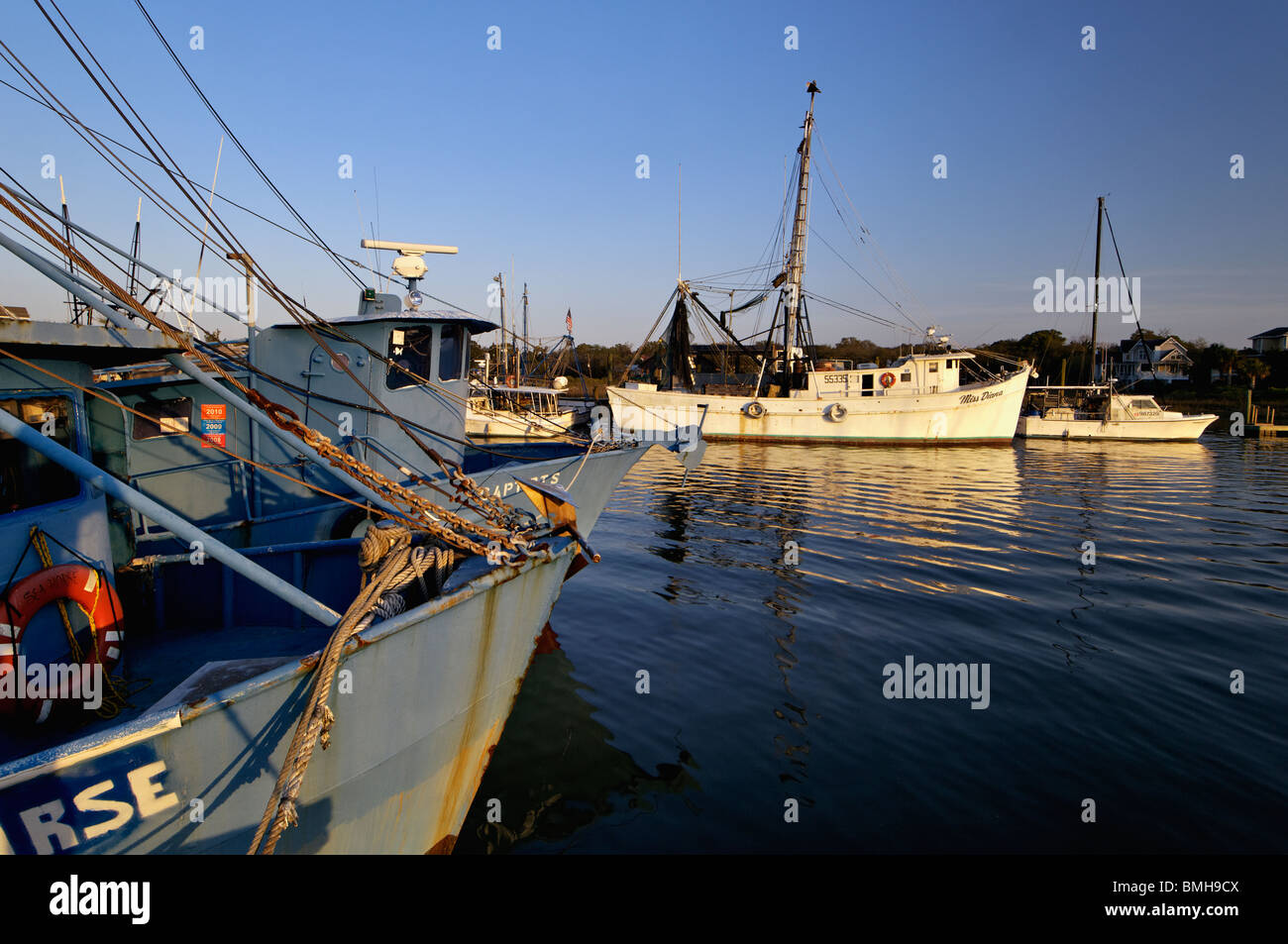 Evening Light on Fishing Boats on Shem Creek in Charleston County
