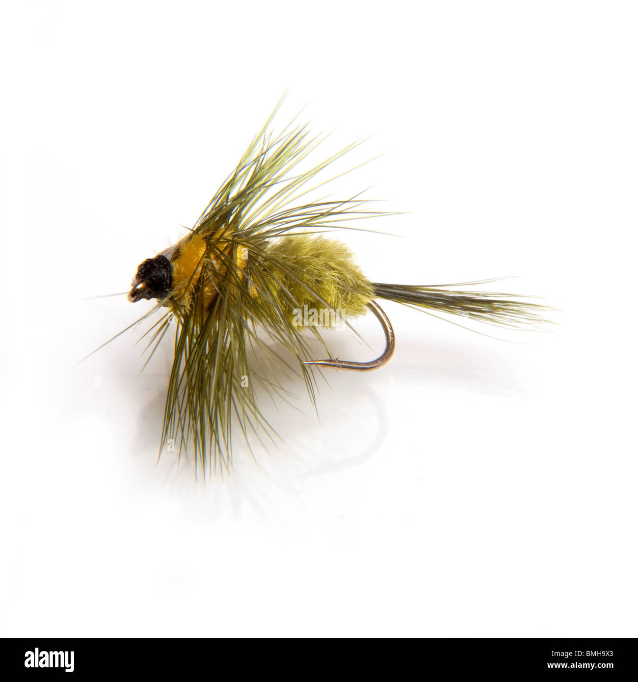 Montana trout fishing fly isolated on a white studio background. Stock Photo