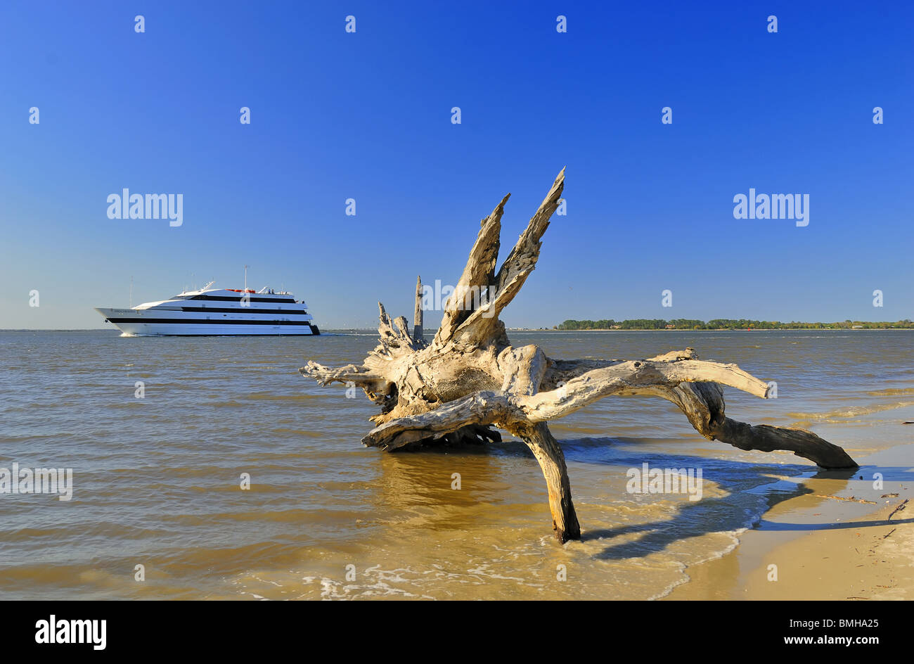 Jekyll Island is off the coast of the U.S. state of Georgia. A tree trunk and a passing ship completes the picture. Stock Photo