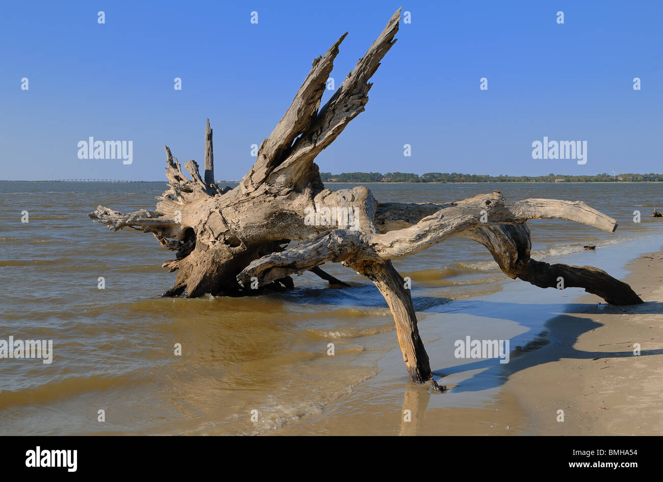 Jekyll Island is situated just off the Georgia, USA, coast midway between Savannah and Jacksonville. Stock Photo