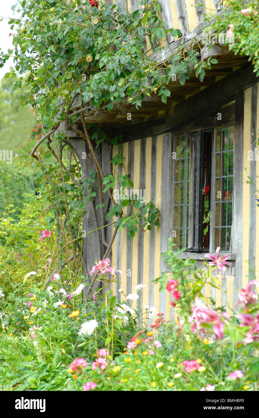 Roses garden cottage england hi-res stock photography and images - Alamy