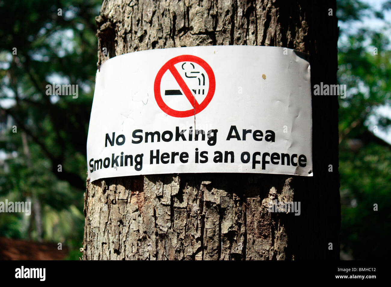 No smoking board sign hung on a tree trunk Stock Photo