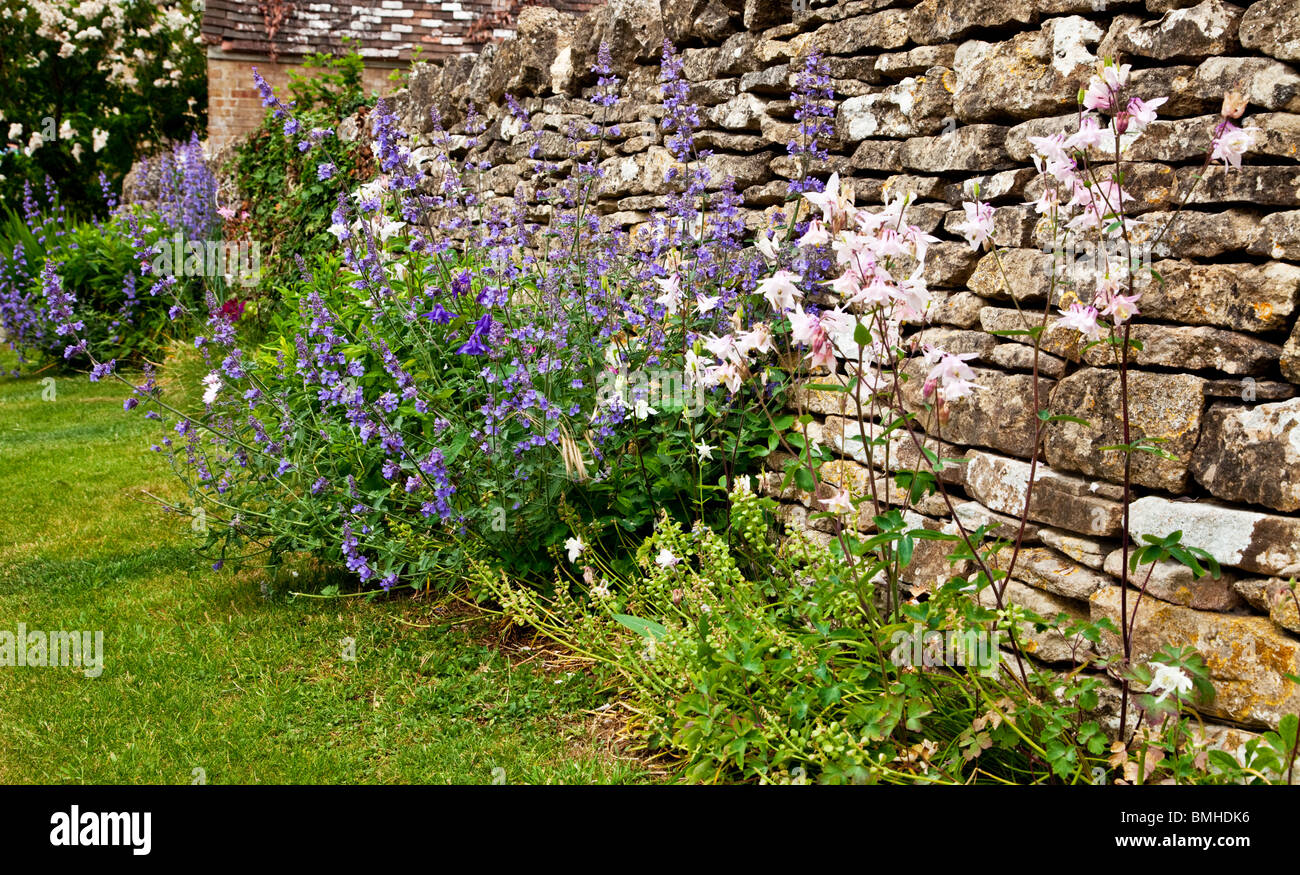 A dry stone wall in the Cotswolds with aquilegia and other flowers growing beneath Stock Photo
