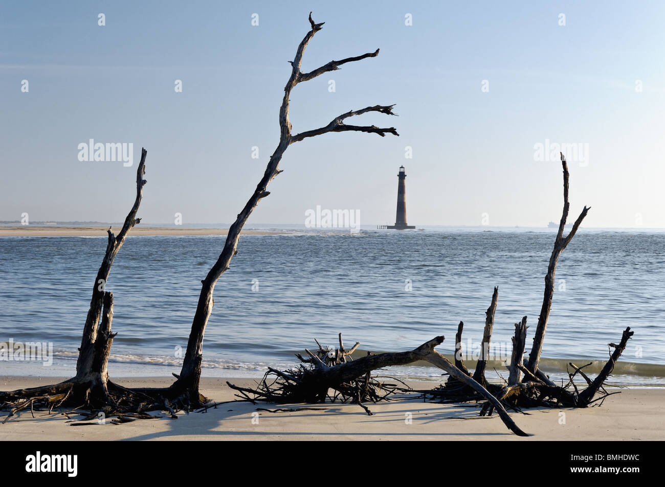 Morris Lighthouse and Dead Trees on Folly Beach in Charleston County, South Carolina Stock Photo