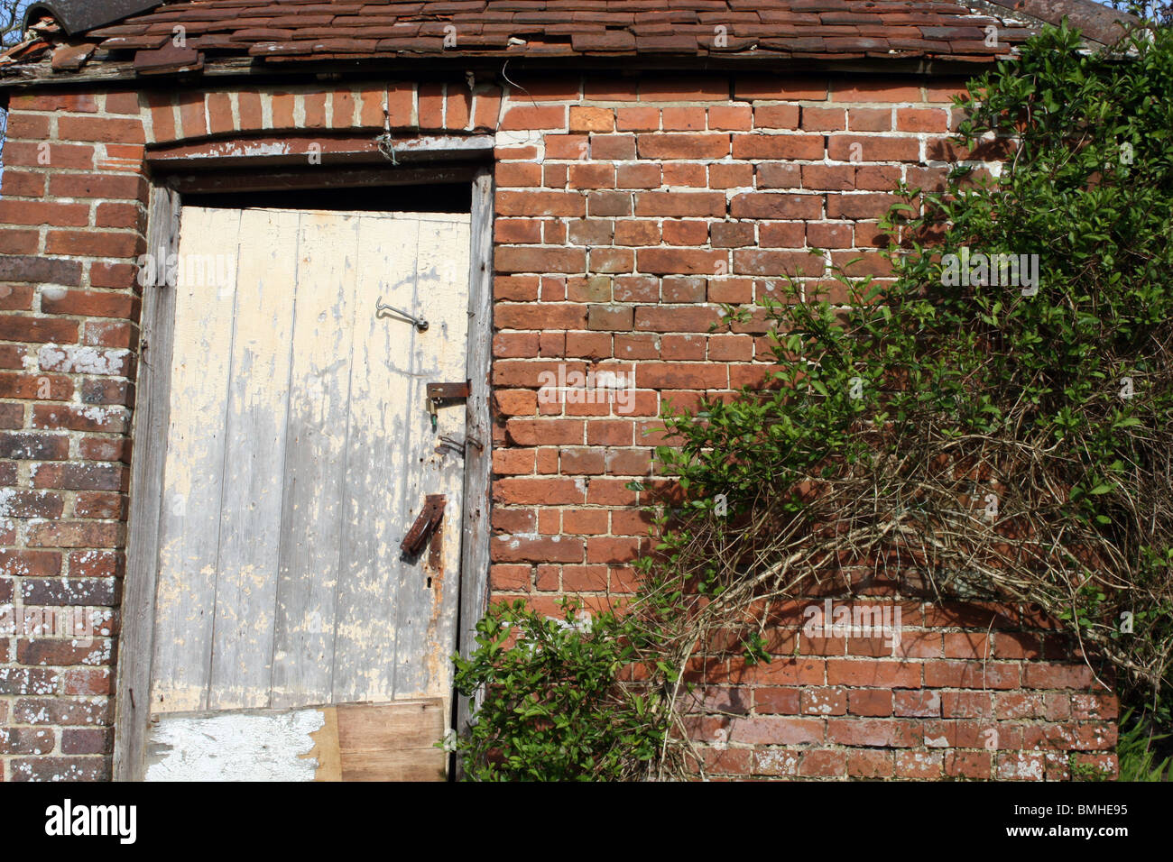 English garden shed Sussex Stock Photo