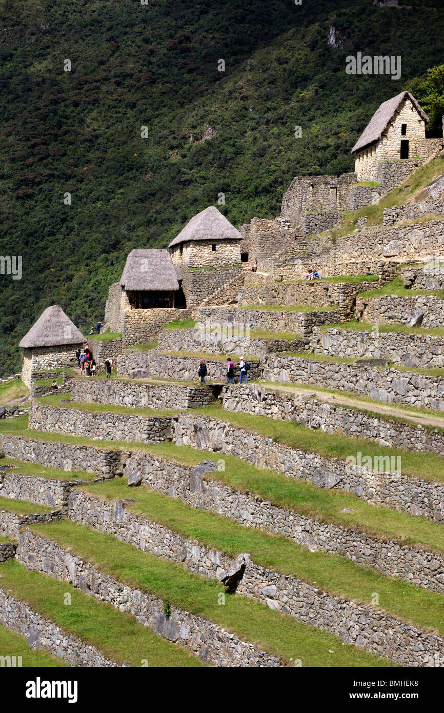 Terracing at the ancient Inca ruins at Machu Picchu near Cusco in Peru ...
