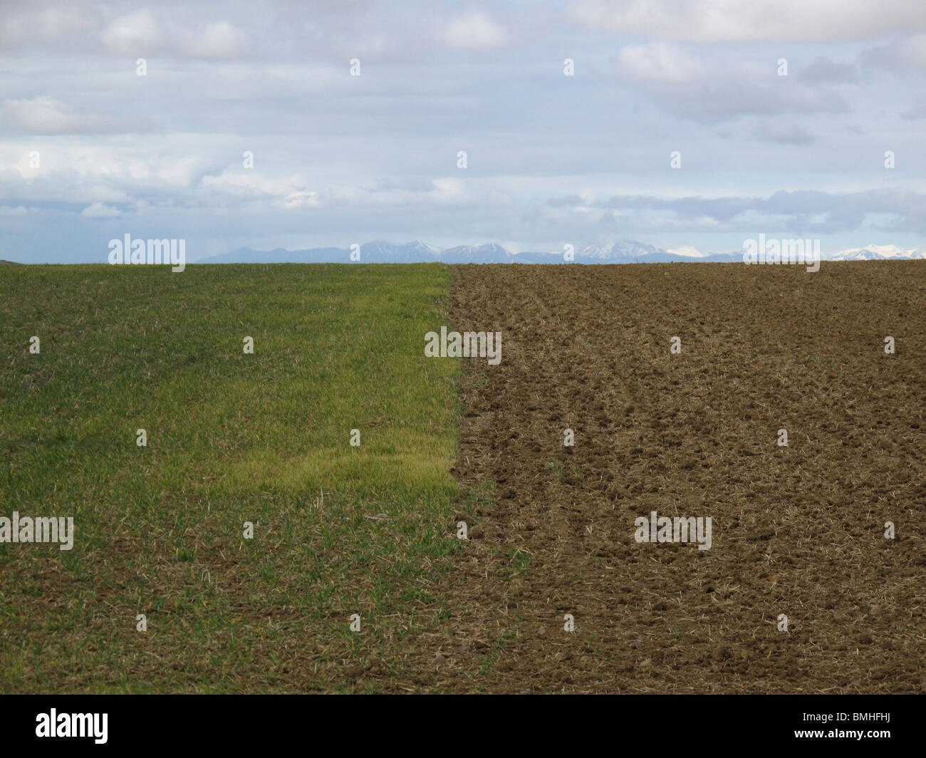 Campos de cultivo cereal hi-res stock photography and images - Alamy
