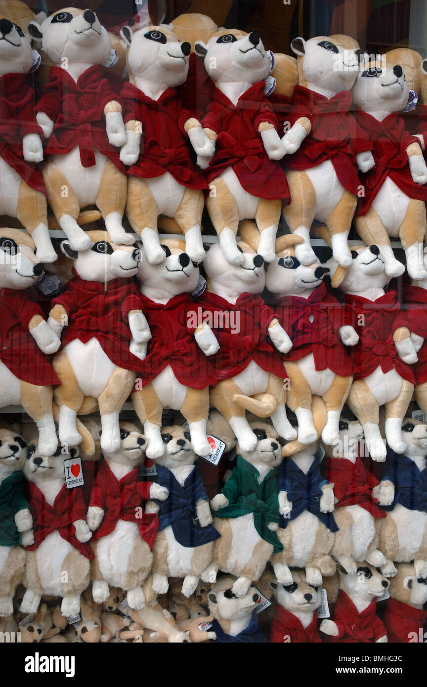 display of meerkats for sale in a shop window, Scarborough, North Yorkshire, England, UK Stock Photo