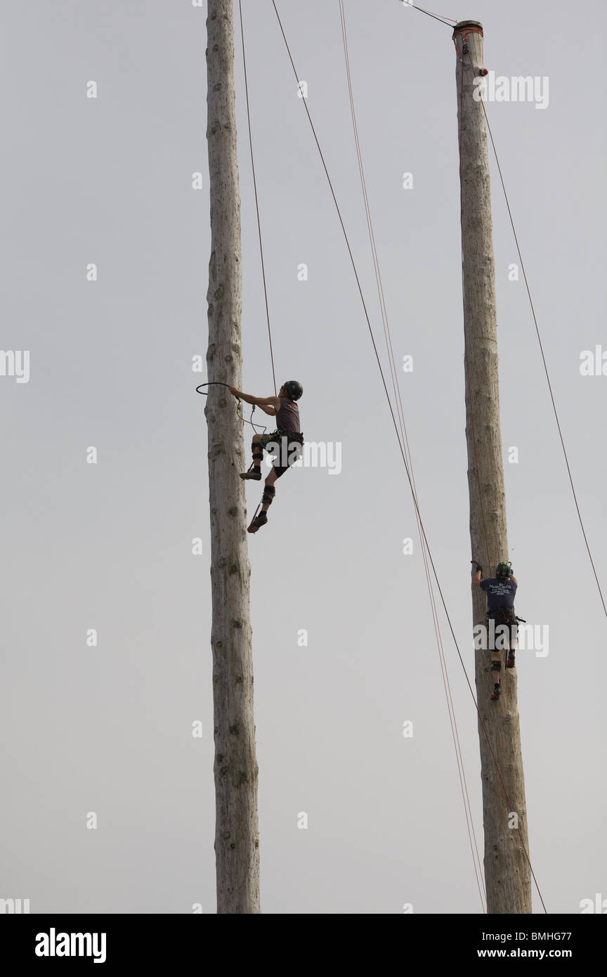 Competitors in the pole climbing competition at Woodfest Wales, near St