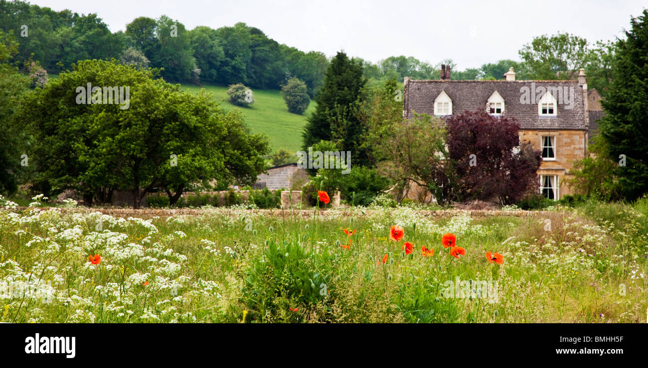 Cotswold country house with field of poppies and cow parsley. A typical English summer landscape in June, Gloucestershire, UK Stock Photo