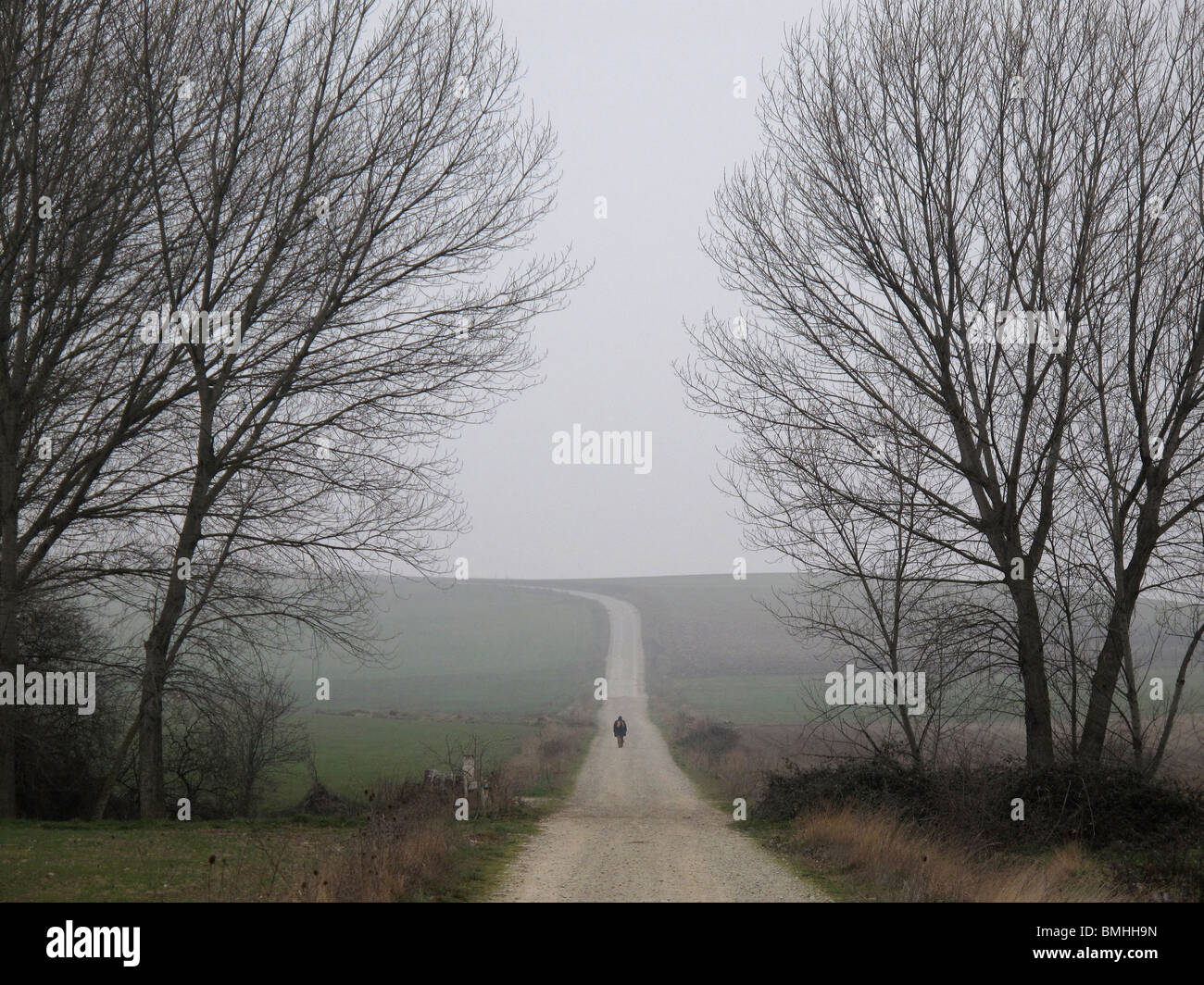 Way near Santo Domingo de la Calzada. La Rioja. Spain. WAY OF ST JAMES. Stock Photo