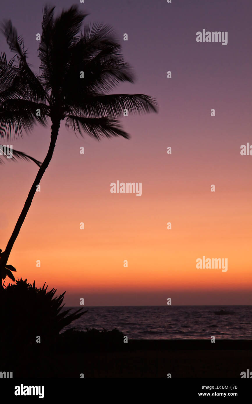 Hawaiian vacations hi-res stock photography and images - Alamy