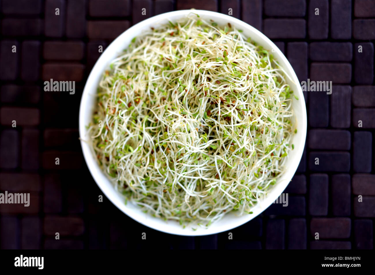 Organic Alfalfa Sprouts Stock Photo Alamy